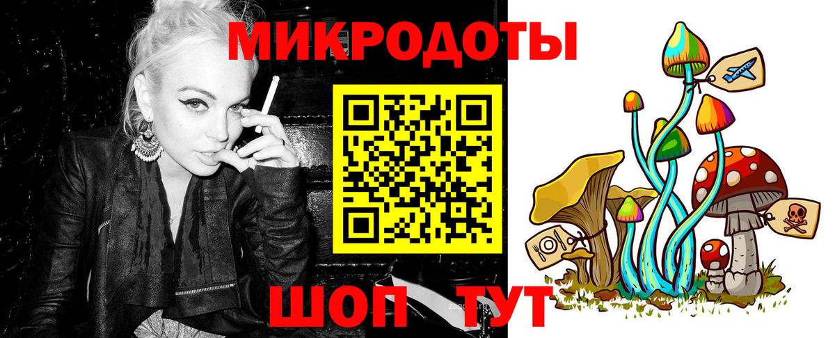 Псилоцибиновые грибы Psilocybine cubensis  Псилоцибиновые грибы мицелий  Кириши  хочу   Вход с VPN 